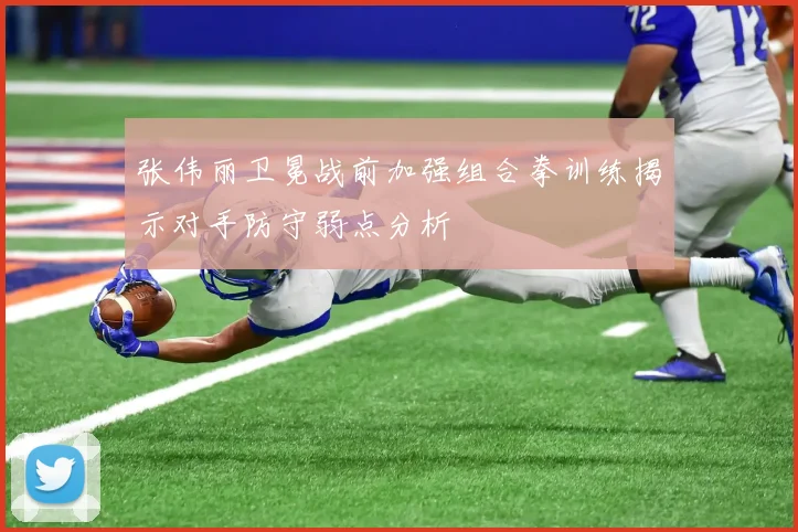 张伟丽卫冕战前加强组合拳训练揭示对手防守弱点分析