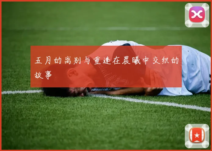 五月的离别与重逢在晨曦中交织的故事