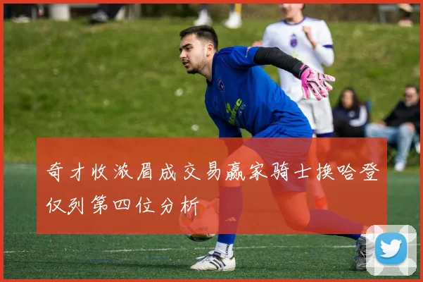 奇才收浓眉成交易赢家骑士换哈登仅列第四位分析