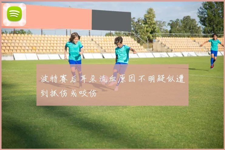 波特赛后耳朵流血原因不明疑似遭到抓伤或咬伤